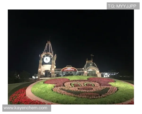 从虹口足球场出发畅游迪士尼乐园的最佳路线与攻略分享